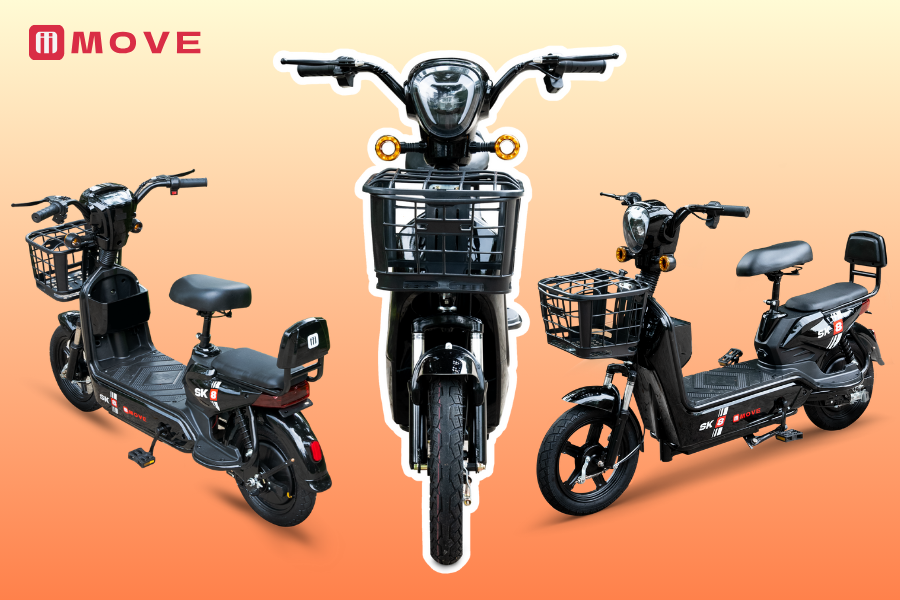 Các hãng xe đạp điện nổi tiếng trên thị trường Việt và thế giới